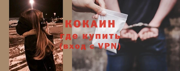 индика Заволжск