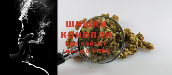 индика Заволжск